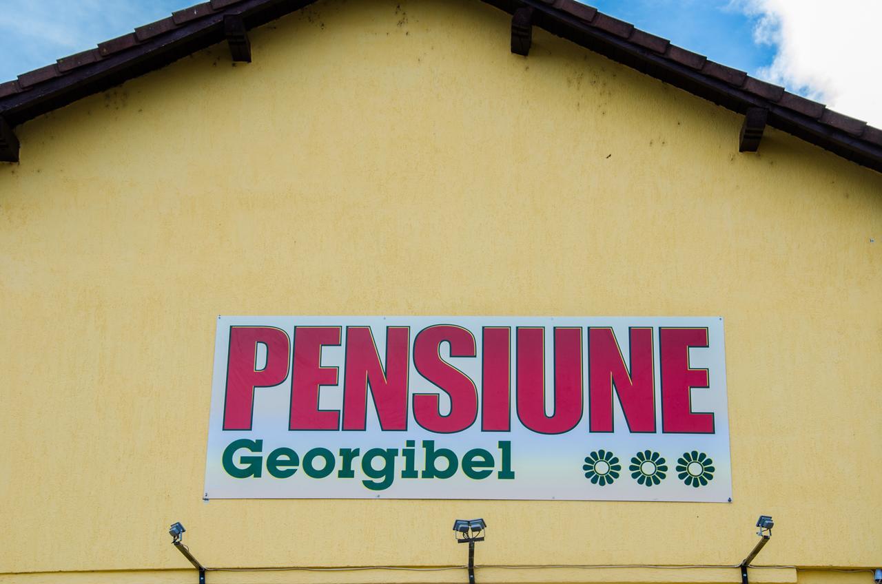 Pensiunea Georgibel Deva Eksteriør bilde